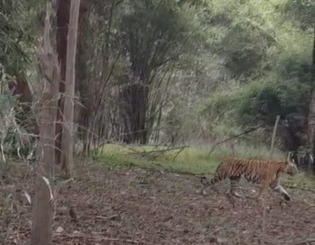 Screenshot 20251019 211613 News E 7 Live