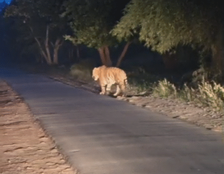 Screenshot 20251030 151338 News E 7 Live