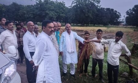 20251101 095603 News E 7 Live