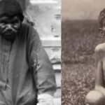 20251103 101939 News E 7 Live