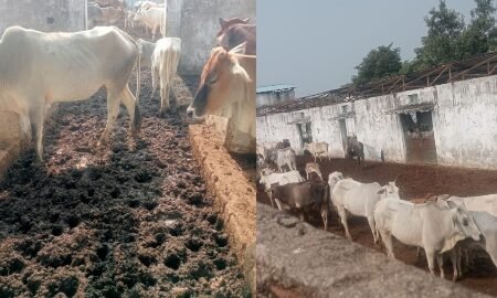 20251104 181713 News E 7 Live