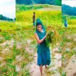 20251104 204102 News E 7 Live