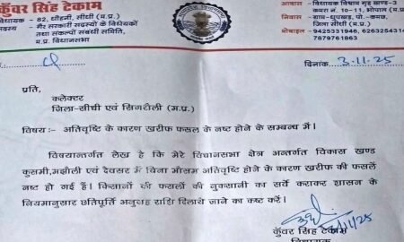 20251105 094621 News E 7 Live