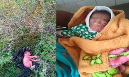 20251107 214500 News E 7 Live