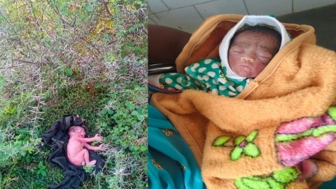 20251107 214500 News E 7 Live