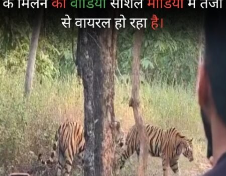 20251109 130824 News E 7 Live