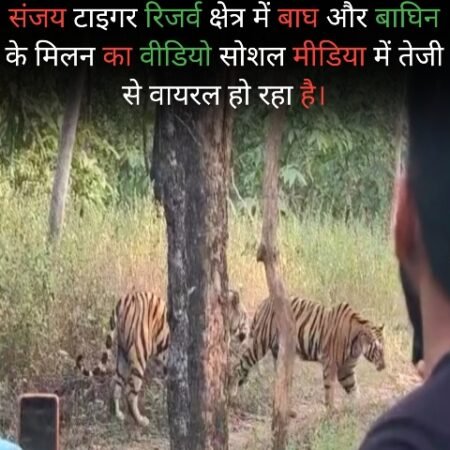 20251109 130824 News E 7 Live