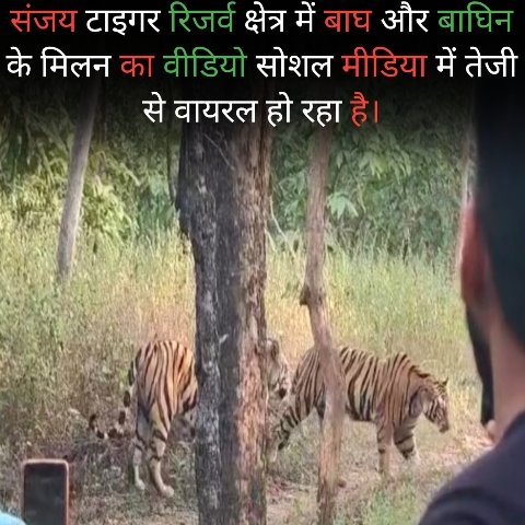 20251109 130824 News E 7 Live