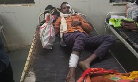 20251111 181934 News E 7 Live