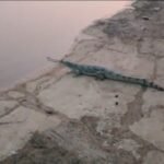 20251114 140958 News E 7 Live