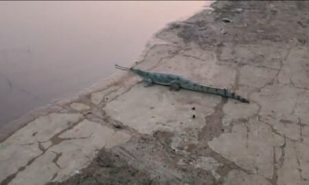 20251114 140958 News E 7 Live