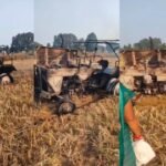 20251115 122213 News E 7 Live