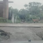 20251121 194044 News E 7 Live