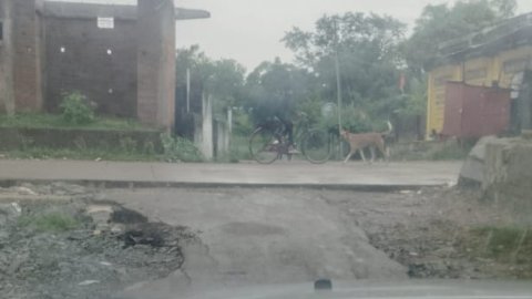 20251121 194044 News E 7 Live