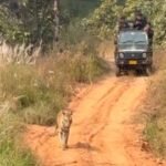 20251123 134105 News E 7 Live