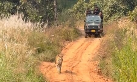 20251123 134105 News E 7 Live