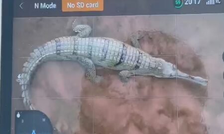 20251123 135536 News E 7 Live