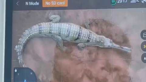 20251123 135536 News E 7 Live