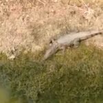 20251127 181936 News E 7 Live