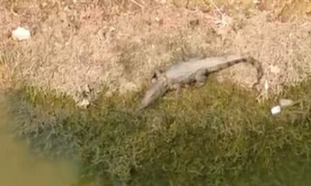 20251127 181936 News E 7 Live