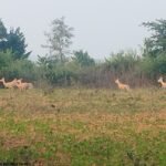 IMG 20251118 WA0022 News E 7 Live