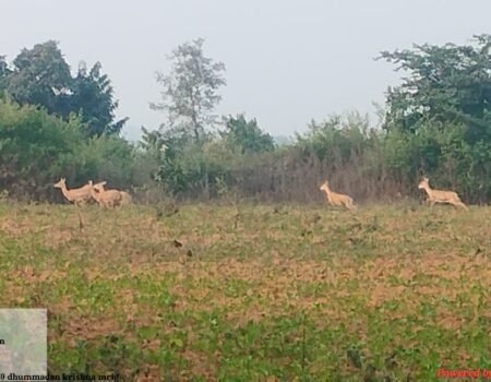 IMG 20251118 WA0022 News E 7 Live