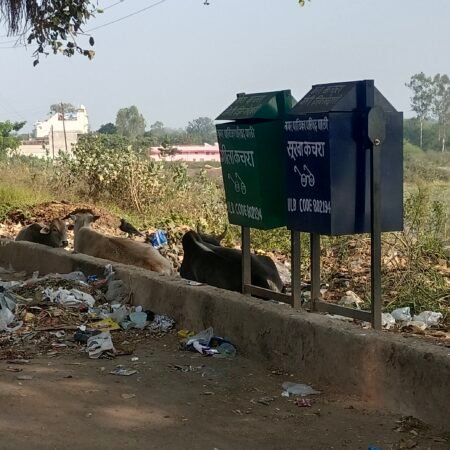 IMG 20251113 151030 News E 7 Live