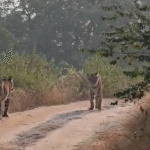 IMG 20251123 130848 News E 7 Live