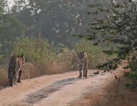 IMG 20251123 130848 News E 7 Live