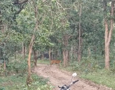 Screenshot 20251104 141821 News E 7 Live