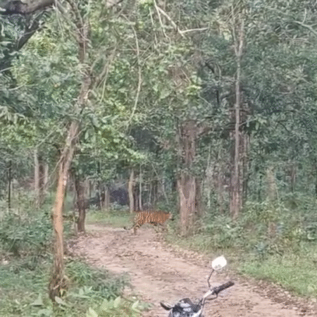 Screenshot 20251104 141821 News E 7 Live