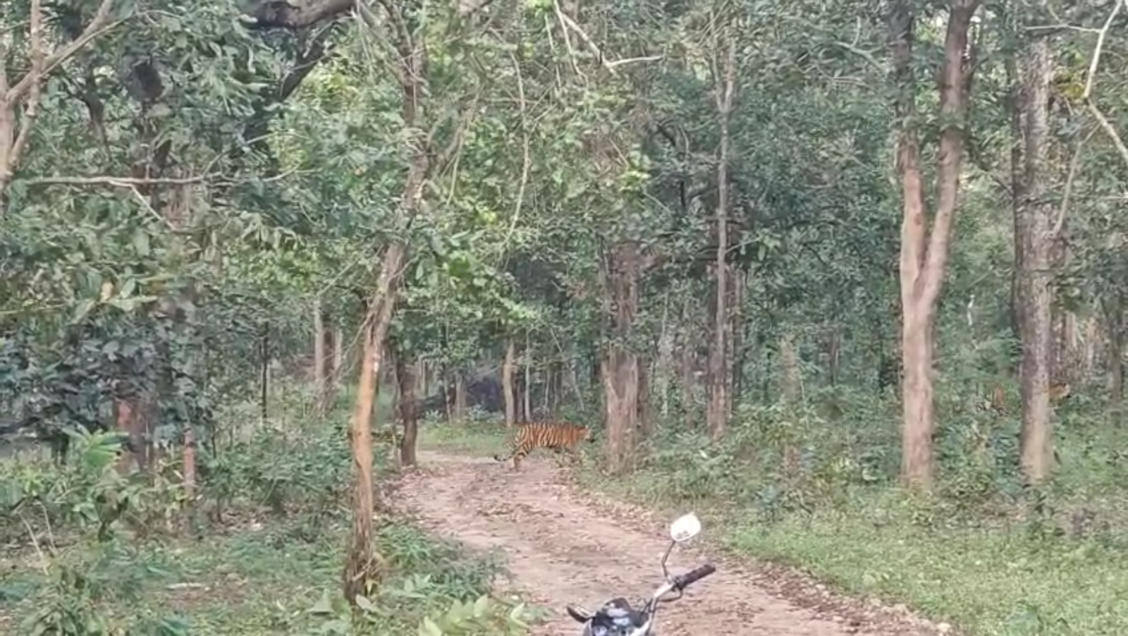 Screenshot 20251104 141821 News E 7 Live