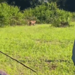 Screenshot 20251106 211250 News E 7 Live