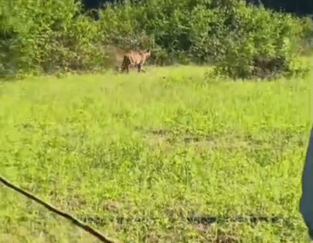 Screenshot 20251106 211250 News E 7 Live