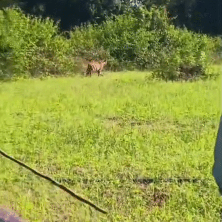 Screenshot 20251106 211250 News E 7 Live