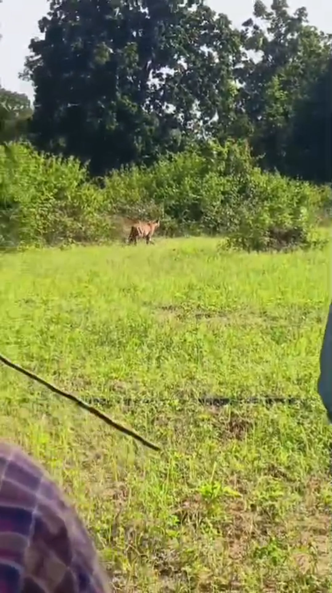 Screenshot 20251106 211250 News E 7 Live