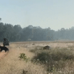 Screenshot 20251109 174522 News E 7 Live