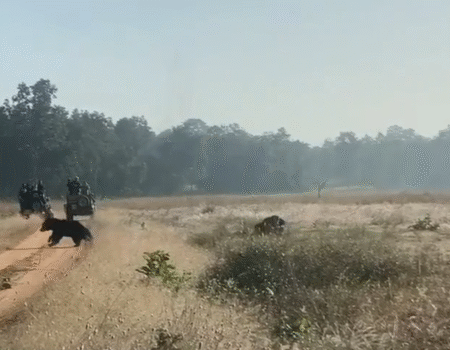 Screenshot 20251109 174522 News E 7 Live