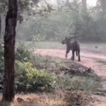 Screenshot 20251110 135226 News E 7 Live