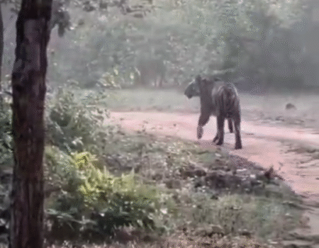 Screenshot 20251110 135226 News E 7 Live