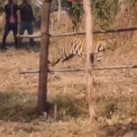 Screenshot 20251112 154141 News E 7 Live