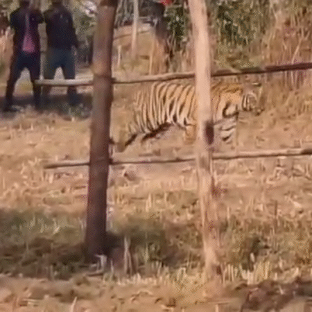 Screenshot 20251112 154141 News E 7 Live