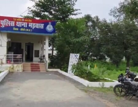 img 1761230744776 981 News E 7 Live