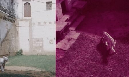 20251206 212630 News E 7 Live