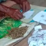 20251208 191456 News E 7 Live