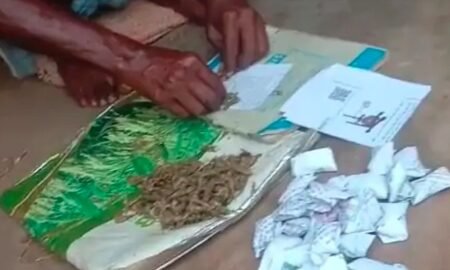 20251208 191456 News E 7 Live