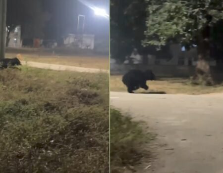 20251210 093050 News E 7 Live