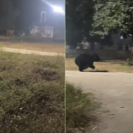 20251210 093050 News E 7 Live