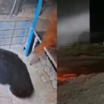 20251213 125953 News E 7 Live