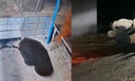 20251213 125953 News E 7 Live